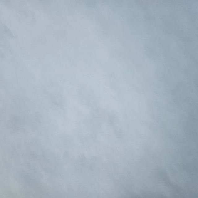 2025.04.11 空