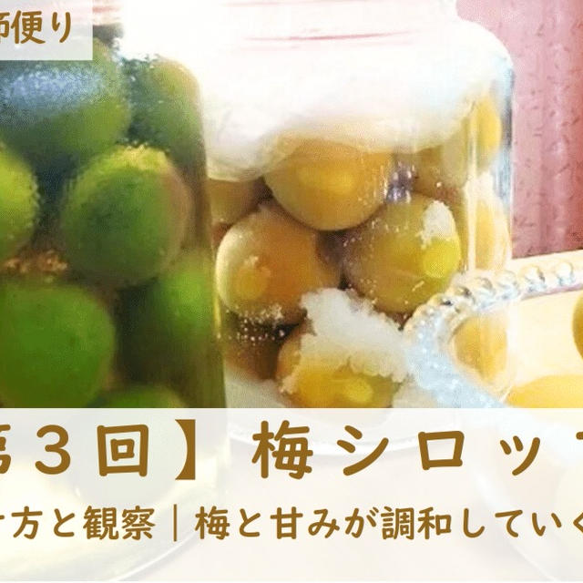 【第3回】梅シロップ②