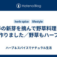 春の新芽を摘んで野草料理を作りました／野草もハーブ