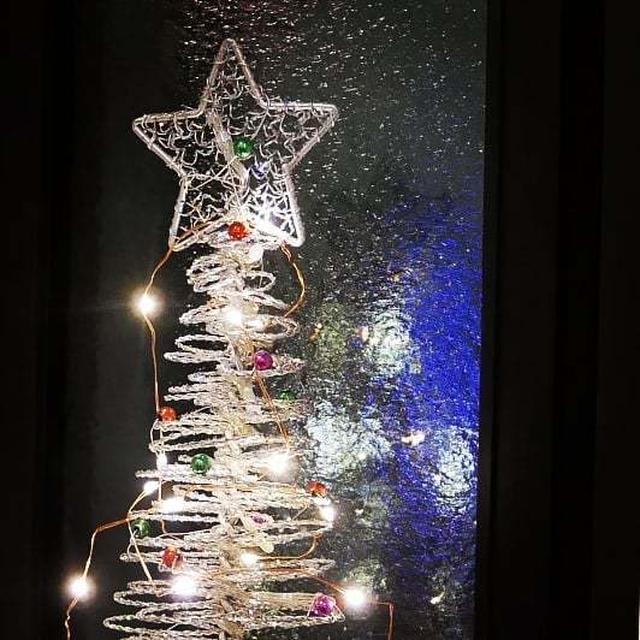 今日はクリスマスツリーの日