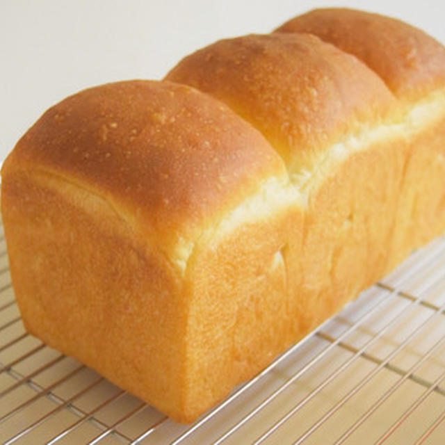 しっとり口どけミルキー山食♪姉宅へ・ボーダーコリーのごまちゃん。
