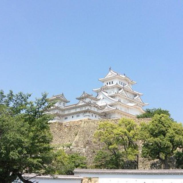 客人と姫路城へ