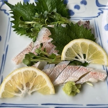 甘鯛の湯霜造りとちり蒸し＆ホタルイカとキャベツのパスタ