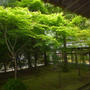 新緑の京都　　祇園　とれぴち