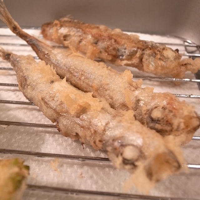 何匹でも食べられるぞ！ししゃもの天ぷら｜ミニミニミニいちご収穫