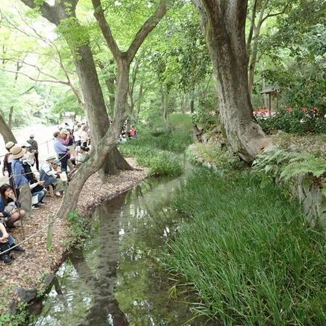 京都へ行ってきました