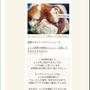 私のレシピがクックパッドニュースに掲載されました、ポピー10月号。