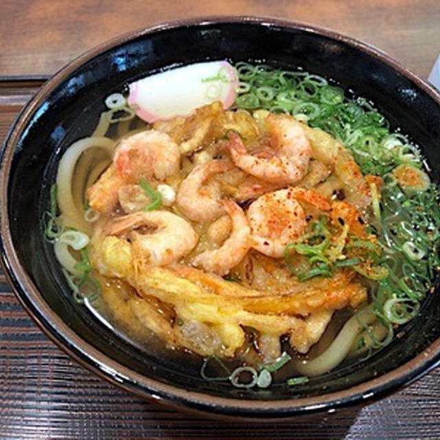 阪和道の紀ノ川ＳＡでかき揚げうどん