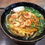 阪和道の紀ノ川ＳＡでかき揚げうどん