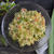 Olivier Salad オリヴィエサラダ