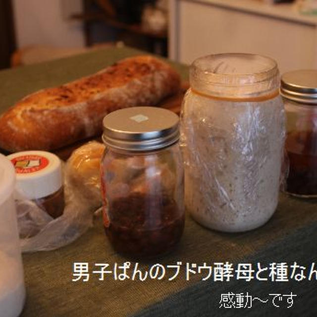 男の天然酵母ぱん、思いがこもったぱんです。感動！！！