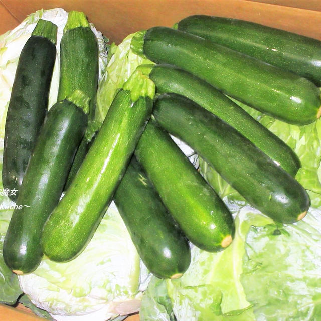 箱を開けたら・・・畑だった？！「ぐんまクッキングアンバサダー」7月