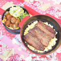 マイナスイオンいっぱい！！@松之山温泉　☆　お弁当は　秋刀魚のかばたま丼