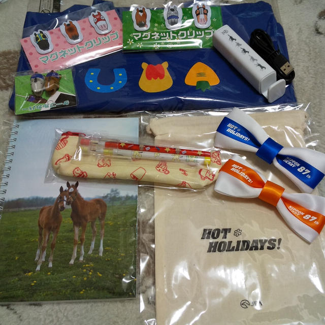 お届けもの☆JRA！HOLIDAYS！チャンスでミスターパーカージュニア