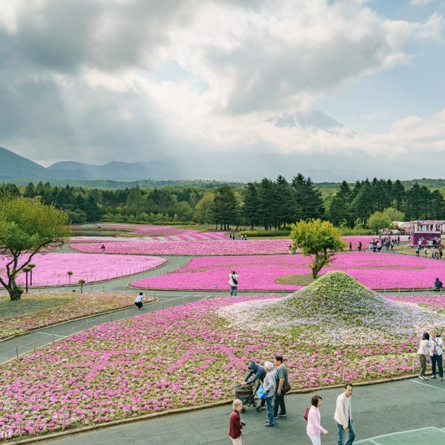 富士山を見たい！リベンジ旅行記