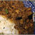 久々の本格キ―マカレーでお料理教室～
