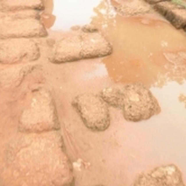 アンコール遺跡群の旅３日目☆バンテアイ・スレイ