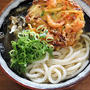 久しぶりに「かき揚げ昆布うどん」