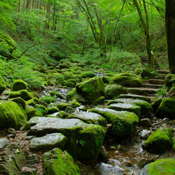 御岳山へ筋トレ