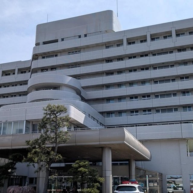 義母の病理結果　楽天SS気になる半額アイテム