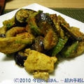 なす・ゴーヤ・豆腐のカレー炒め　ナニゲに精進料理(笑)