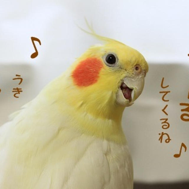 きららのきもち　　Episode．7