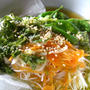 野菜そうめん