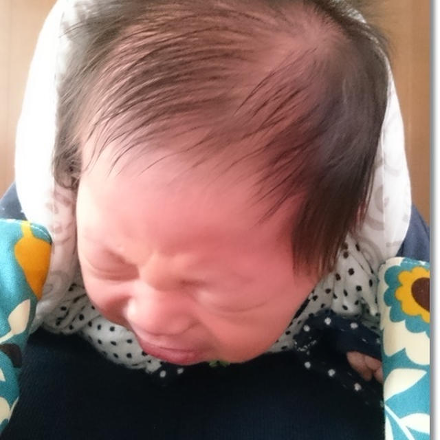 ダンナさんが出張へ・・・掃除と洗濯は乗り切った！