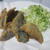 1/22　鯵の竜田揚げ