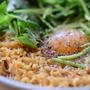 チキンラーメンが食べたくなる写真と、三毛猫が好きになる写真と。