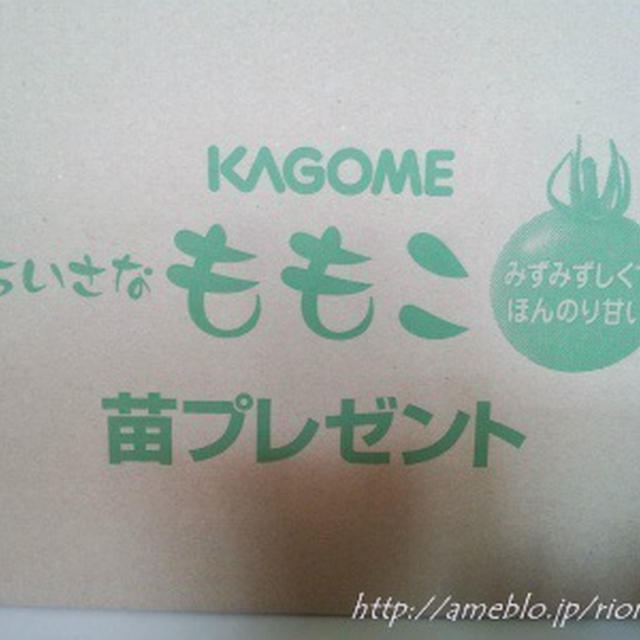 トマトが届いたぁー(*^^)v