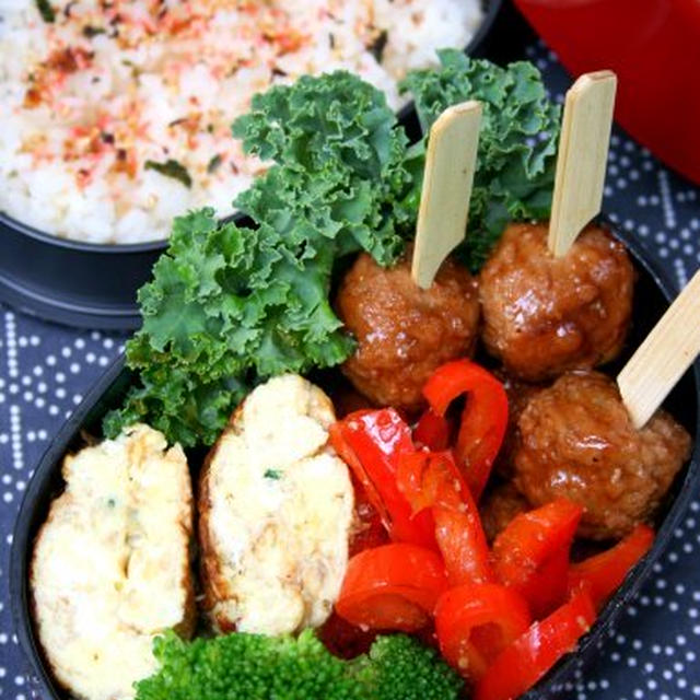 Japanese Style Lunch Box初めての和弁当