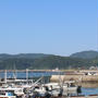 7月1日は和歌山市で海開き！加太の海へ行きました