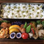 お弁当（豆ごはん②）