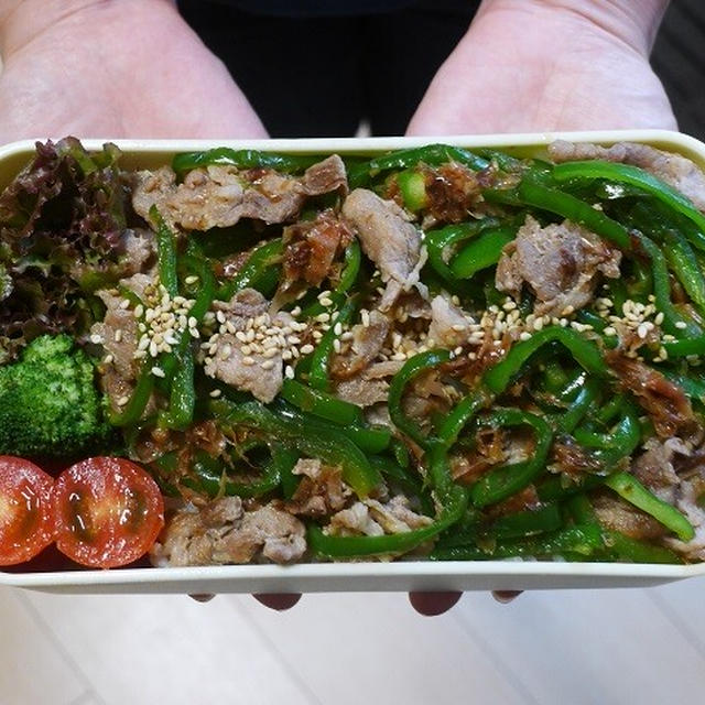 2023/10/12のパートナーの相棒のボリューミーお弁当 【#お弁当】【1955個目】