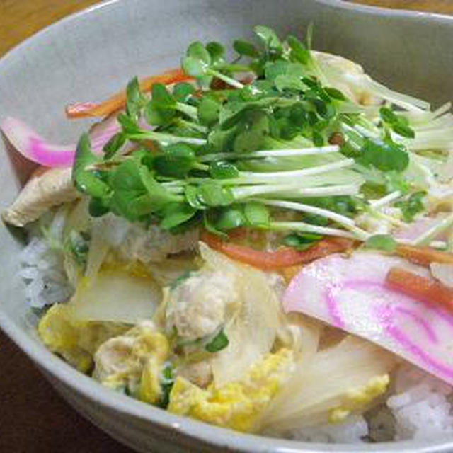 野菜たっぷりのさっぱり親子丼