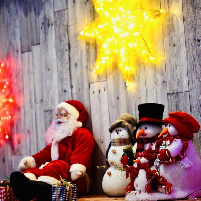 新潟県立植物園クリスマス展2023①