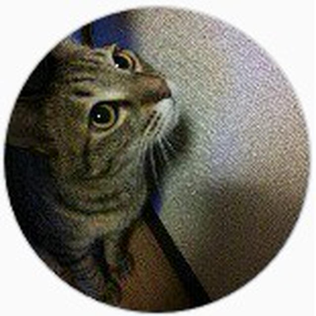 【なに言っちゃってんの？】あんた辞めるって言ったやんけ！！バカにすんのもいい加減にしろ