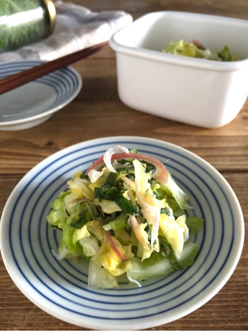 調味料は２つ【大葉とみょうがのキャベツの甘酢漬け】簡単＊作り置き