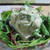 「アボガドと豆腐のサラダ」