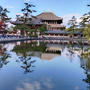 奈良公園をお散歩。いい天気で気持ち良かった