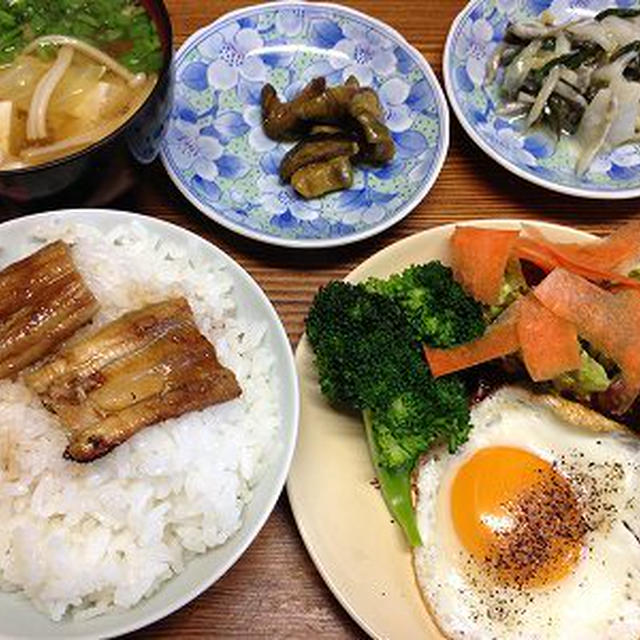 プチ穴子丼。きつね若布うどん。富士山はやはり美しい