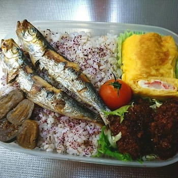 旦那弁当…相も変わらず、