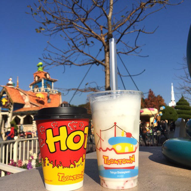 息子 ３歳のバースデー　ディズニーランド