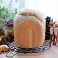 自家製酵母・米麹酵母（酒種）で、ホームベーカリーおまかせパン♪