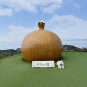 おっ玉葱