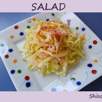 【減塩レシピ】春キャベツのサラダ　と　かわいい犬