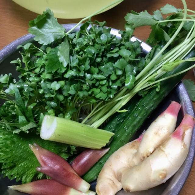 香味野菜をふんだんに