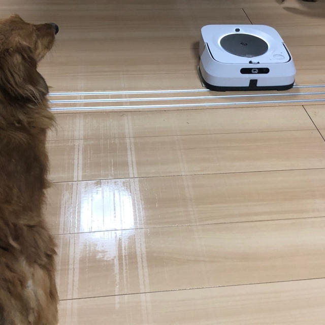 床掃除をブラーバに任せる暮らし♡