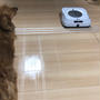 床掃除をブラーバに任せる暮らし♡